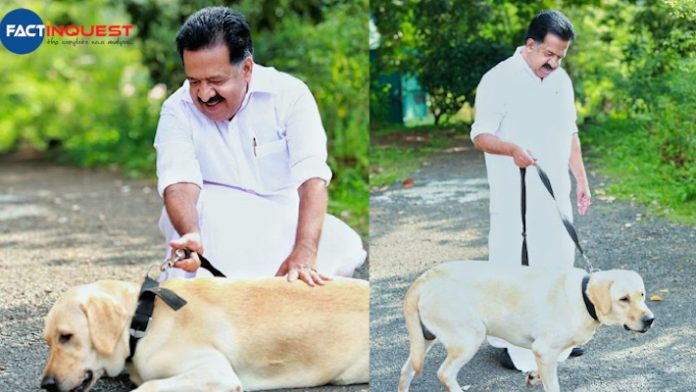 Ramesh Chennithala's Facebook post on his pet dog goes viral