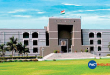 Animals, Like Human Beings Can Understand Physical Mental Pain Gujarat HC