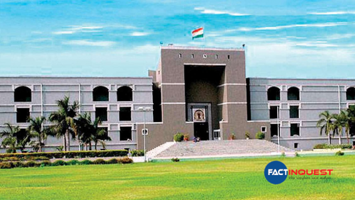 Animals, Like Human Beings Can Understand Physical Mental Pain Gujarat HC