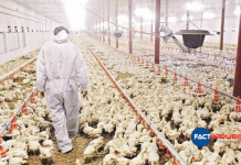 bird flu government aid for farmers
