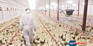bird flu government aid for farmers