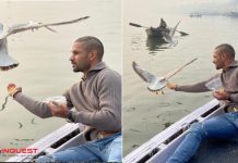 hikhar Dhawan Feeding Birds in Varanasi Lands Boatman in Soup, Fans Remind Him of Bird Flu