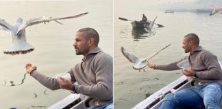 hikhar Dhawan Feeding Birds in Varanasi Lands Boatman in Soup, Fans Remind Him of Bird Flu