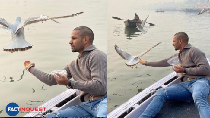 hikhar Dhawan Feeding Birds in Varanasi Lands Boatman in Soup, Fans Remind Him of Bird Flu