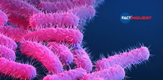 shigella confirmed again in Kozhikode