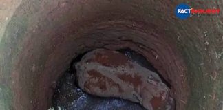 The elephant rescued from the well in Mukkam anakkampoyil has died