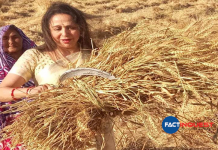 Agitating farmers don't even know what they want, says BJP MP Hemamalini