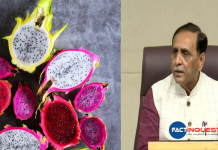 Gujarat government renames dragon fruit as 'kamalam'
