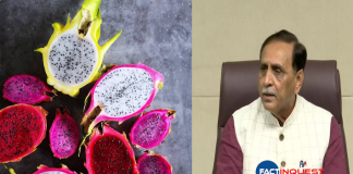 Gujarat government renames dragon fruit as 'kamalam'