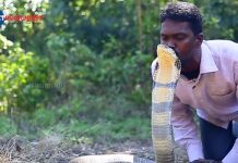 Forest Department Letter Against Snake Master Program