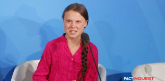 Activist, 21, Arrested From Bengaluru In Greta Thunberg "Toolkit" Case