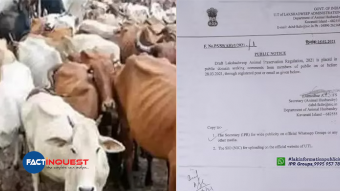 central government move to ban beef in lakshadweep